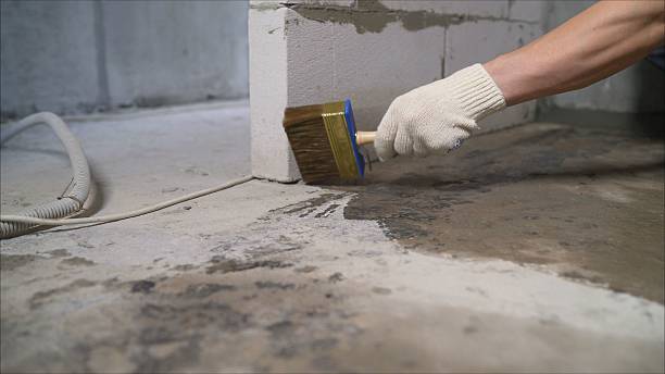 SJ Waterproofing Pros Crawl Space Encapsulation coverage map for Ramsey, MN and surrounding area